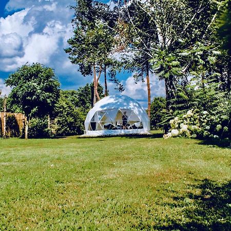Frauendorf  B Our Guest At Your Cozy Hideaway Dome Near Dresden מראה חיצוני תמונה